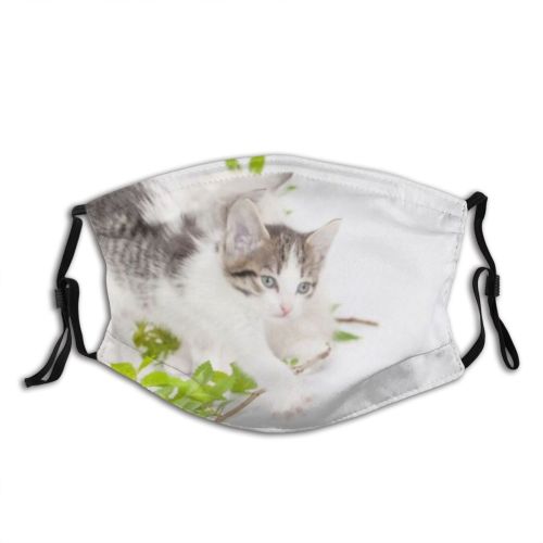 yanfind Attractive Isolation Cat Cute Tender Kittens Nose Tiny Self Beautiful Fluffy. Gentle Dust Washable Reusable Filter and Reusable Mouth Warm Windproof Cotton Face