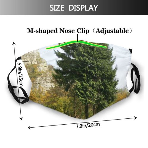 yanfind Plant Bank Sky Larch Sunny Tree Tree Plant Woody Road Rock Pine Dust Washable Reusable Filter and Reusable Mouth Warm Windproof Cotton Face