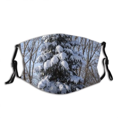 yanfind Winter Christmas Spruce Winter Colorado Balsam Shortleaf Spruce Snow Pine Pinetree Tree Dust Washable Reusable Filter and Reusable Mouth Warm Windproof Cotton Face
