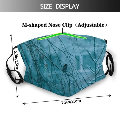 yanfind Ice Wild Bird Tree Foreground Snow Branch Perching Focus Wildlife Kazakhstan Vertebrate Dust Washable Reusable Filter and Reusable Mouth Warm Windproof Cotton Face