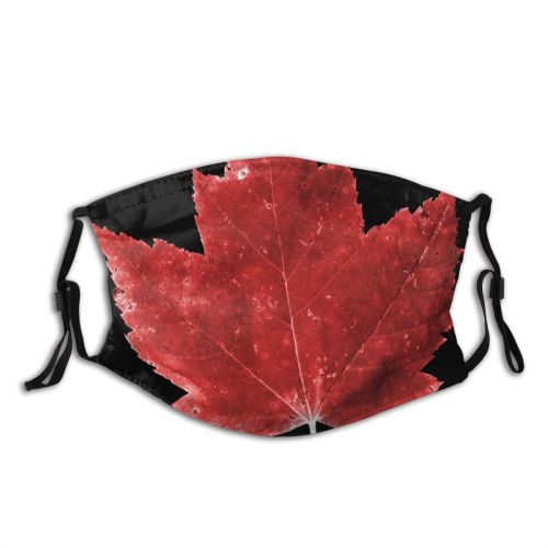 yanfind Maple Autumn Woody Leaves Maple Plant Fall Flower Flowering Leaf Leaf Tree   Dust Washable Reusable Filter and Reusable Mouth Warm Windproof Cotton Face