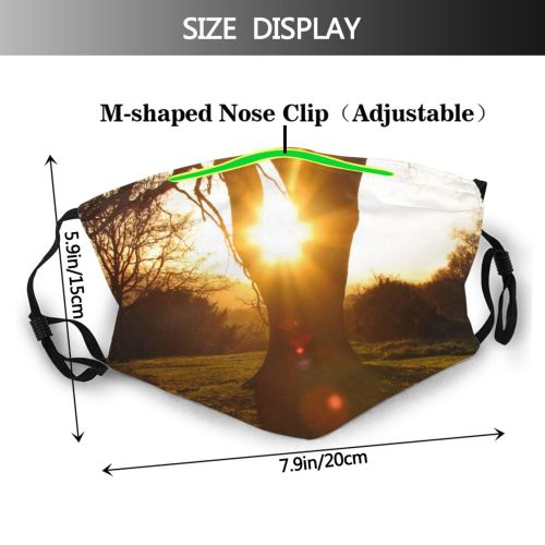 yanfind Natural Atmospheric Sun Autumn Branch Landscape Sky Branch Sunlight Tree Tree Light Dust Washable Reusable Filter and Reusable Mouth Warm Windproof Cotton Face