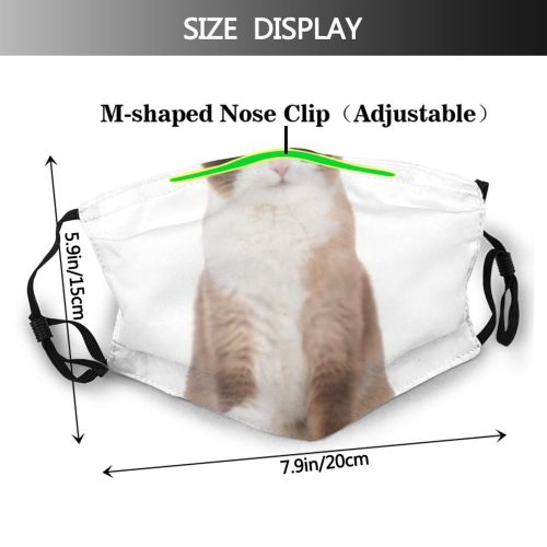 yanfind Isolated Fur Snow Cat Kitty Shorthair Grumpy Mouth Unapproving Posing Snowshoe Stand Dust Washable Reusable Filter and Reusable Mouth Warm Windproof Cotton Face