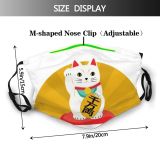 yanfind Asian Japanese Cat Cute Year Fortune Luck Chinese Coin Gold Lucky Happy Dust Washable Reusable Filter and Reusable Mouth Warm Windproof Cotton Face