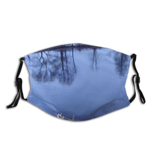 yanfind Mirror Winter Landscape Reflection River Sky Tree Winter Natural Evening Freezing Snow Dust Washable Reusable Filter and Reusable Mouth Warm Windproof Cotton Face