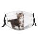 yanfind Isolated Fur Kuril Young Cat Kitty Cute Carnivore Purr Pedigreed Pedigree Sad Dust Washable Reusable Filter and Reusable Mouth Warm Windproof Cotton Face