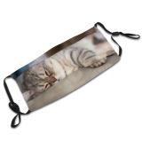 yanfind Highland Comfort Lovely Fur Straight Striped Cat Kitty Cute Shorthair Staring Culture Dust Washable Reusable Filter and Reusable Mouth Warm Windproof Cotton Face