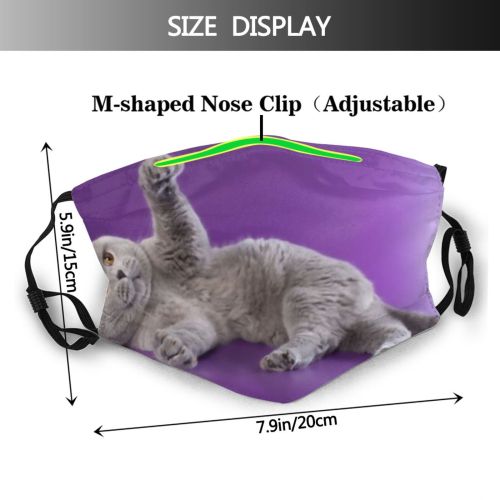 yanfind Fur Young Cat British Cute Resting Shorthair English Grey Purr Soft Beautiful Dust Washable Reusable Filter and Reusable Mouth Warm Windproof Cotton Face