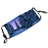 yanfind Ice Spruce Frost Night Pine Stars Snowy Forest Evergreen Branches Frozen Scenery Dust Washable Reusable Filter and Reusable Mouth Warm Windproof Cotton Face
