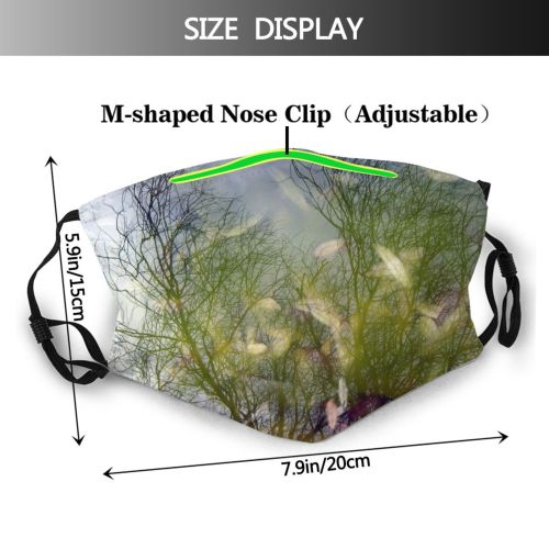 yanfind Winter Silence Natural Leaves Branch Landscape Vegetation Reflection Calm Plant Romantic Branch Dust Washable Reusable Filter and Reusable Mouth Warm Windproof Cotton Face