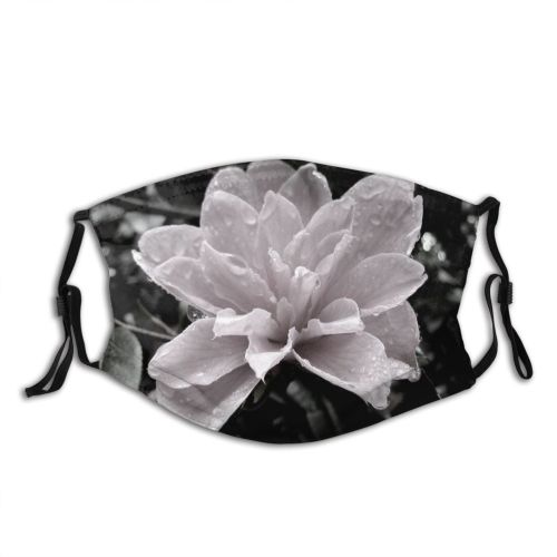 yanfind Flower Beautiful Glisten Sun Rhododendron Plant Petal Droplet Flower Flowering Blossom Sunshine Dust Washable Reusable Filter and Reusable Mouth Warm Windproof Cotton Face