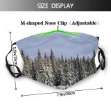 yanfind Frost Coniferous Frozen Powder Tranquility Polar Tree Scene Snow Forest Norway Sky Dust Washable Reusable Filter and Reusable Mouth Warm Windproof Cotton Face