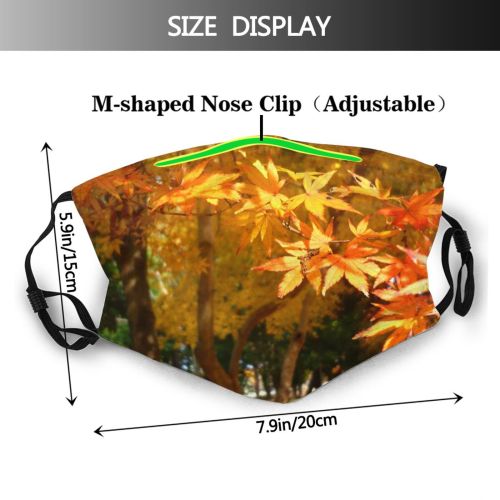 yanfind Leaves Deciduous Maple Leaf Vegetation Maple Leaf Fall Plant Tree Plant Autumn Dust Washable Reusable Filter and Reusable Mouth Warm Windproof Cotton Face