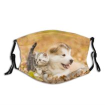 yanfind Malamute Young Relations Together Little Cat Cute Friendly Tiny Away Dog Fall Dust Washable Reusable Filter and Reusable Mouth Warm Windproof Cotton Face