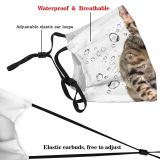 yanfind Isolated Young Cat Carnivore Catus Staring Facing Nobody Bengal Vertebrate Shot Pet Dust Washable Reusable Filter and Reusable Mouth Warm Windproof Cotton Face