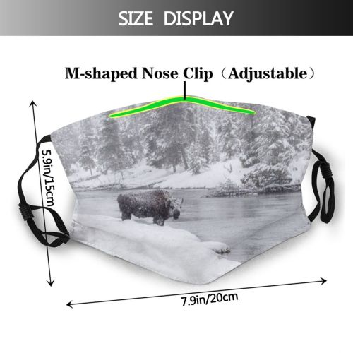 yanfind Ice Frost Landscape Frozen Wild Rural Tree Scene Snow Forest Wyoming Western Dust Washable Reusable Filter and Reusable Mouth Warm Windproof Cotton Face