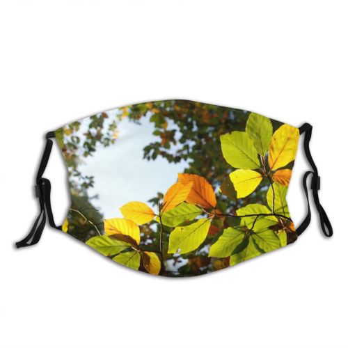 yanfind Sun Woody Leaves Branch Plant Branch Flower Flowering Leaf Forest Sunlight Leaf Dust Washable Reusable Filter and Reusable Mouth Warm Windproof Cotton Face