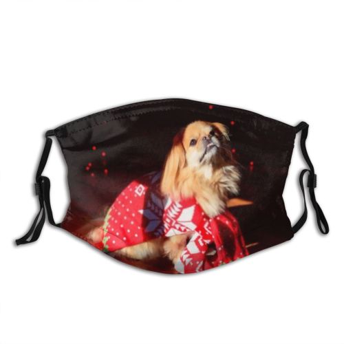 yanfind Isolated Santa Asian Christmas Cute Xmas Cozy Zodiac Winter Dog Year Puppy Dust Washable Reusable Filter and Reusable Mouth Warm Windproof Cotton Face