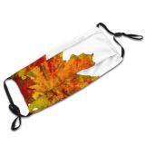 yanfind Maple Autumn Woody Leaves Maple Plant Fall Decoration Leaf Leaf Tree Autumn Dust Washable Reusable Filter and Reusable Mouth Warm Windproof Cotton Face