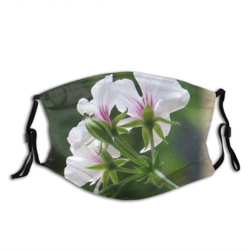 yanfind Flower Perennial Tranquil Beautiful Beauty Lovely Calm Plant Wildflower Classic Petal Bouquet   Dust Washable Reusable Filter and Reusable Mouth Warm Windproof Cotton Face