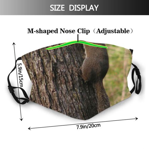 yanfind Tail Ground Squirrel Plant Fox Tree Squirrel Climbing Trunk Tree Grey Wood Dust Washable Reusable Filter and Reusable Mouth Warm Windproof Cotton Face