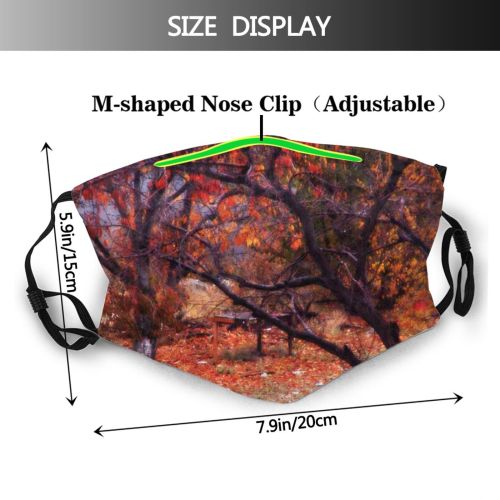 yanfind Deciduous Forest Hardwood Leaf Fall Northern Tree Branch Plant Autumn Autumn Woodland Dust Washable Reusable Filter and Reusable Mouth Warm Windproof Cotton Face