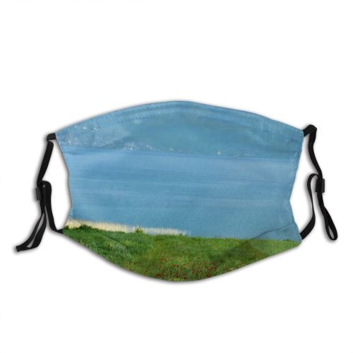 yanfind Flower Field Natural Albania Landscape Plant Wildflower Meadow Flower Grassland Landforms Shore Dust Washable Reusable Filter and Reusable Mouth Warm Windproof Cotton Face