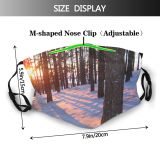 yanfind Winter Sunlight Sunset Sky Tree Forest Winter Natural Freezing Snow Scene Light Dust Washable Reusable Filter and Reusable Mouth Warm Windproof Cotton Face