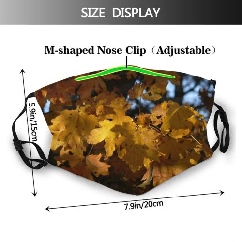 yanfind Plant Biome Plant Branch Maple Leaf Autumn Deciduous Tree Autumn Woody Dust Washable Reusable Filter and Reusable Mouth Warm Windproof Cotton Face