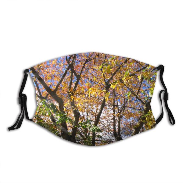 yanfind Leaves Deciduous Branch Leaf Trees Fall Plant Twig Tree Spring Branch Plant Dust Washable Reusable Filter and Reusable Mouth Warm Windproof Cotton Face