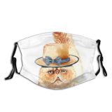 yanfind Isolated Fur Faithful Meow Cat Kitty Cute Box Friendly Muzzle Clipping Biology Dust Washable Reusable Filter and Reusable Mouth Warm Windproof Cotton Face
