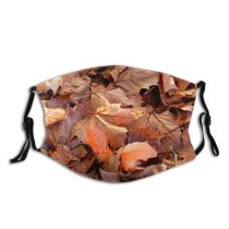 yanfind Winter Maple United Contrast Sun Autumn Leaves Fall Plant Lighting Light Dust Washable Reusable Filter and Reusable Mouth Warm Windproof Cotton Face