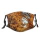 yanfind Temperate Autumn Woody Leaves Plant Fall Broadleaf Branch Forest Leaf Hardwood Northern Dust Washable Reusable Filter and Reusable Mouth Warm Windproof Cotton Face