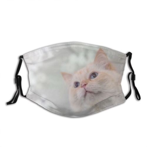 yanfind Fur Cat Kitty Cute Pedigree Sweet Pretty Pet Toy Eyes Fluffy Furry Dust Washable Reusable Filter and Reusable Mouth Warm Windproof Cotton Face