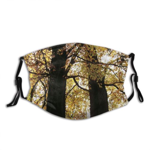 yanfind Temperate Autumn Woody Broadleaf Branch Wood Forest Leaf Hardwood Northern Tree Tree Dust Washable Reusable Filter and Reusable Mouth Warm Windproof Cotton Face