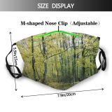 yanfind Plant Broadleaf Underwood Temperate Tree Plant Grove Forest Woody Northern Landscape Natural Dust Washable Reusable Filter and Reusable Mouth Warm Windproof Cotton Face
