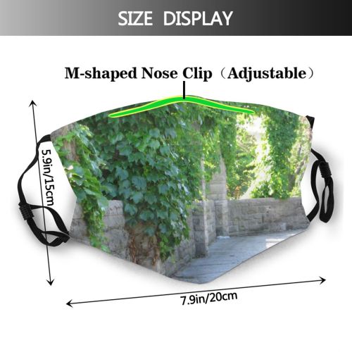 yanfind Outdoors Vine Wood Plant Leaf Ctechs Wall Vines Grass Ivy Tree Architecture Dust Washable Reusable Filter and Reusable Mouth Warm Windproof Cotton Face
