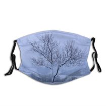 yanfind Winter Landscape Bench Sky Tree Tree Branch Frost Winter Natural Freezing Atmospheric Dust Washable Reusable Filter and Reusable Mouth Warm Windproof Cotton Face