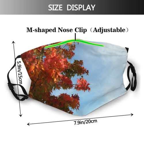 yanfind Maple Sky Autumn Woody Leaves Sky Plant Fall Branch Clouds Leaf Leaf Dust Washable Reusable Filter and Reusable Mouth Warm Windproof Cotton Face