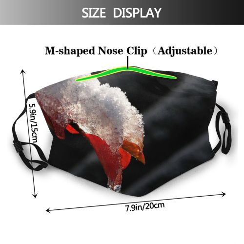 yanfind Drop Winter Frozen Ice Melting Snow Winter Freezing Icicle Snow Dust Washable Reusable Filter and Reusable Mouth Warm Windproof Cotton Face