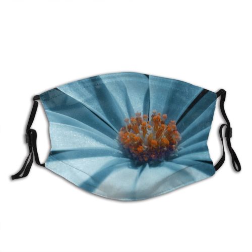 yanfind Flower Flowering Macro Plant Pollen Plant Petal Daisy Flower Dust Washable Reusable Filter and Reusable Mouth Warm Windproof Cotton Face