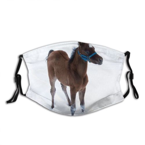 yanfind Winter Winter Horse Mane Snow Snout Vertebrate Baby Foal Arabian Mare Horse Dust Washable Reusable Filter and Reusable Mouth Warm Windproof Cotton Face