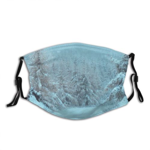 yanfind Country Social East Dramatic Frost Landscape Wheel Trip Winding Frozen Tree Snow Dust Washable Reusable Filter and Reusable Mouth Warm Windproof Cotton Face
