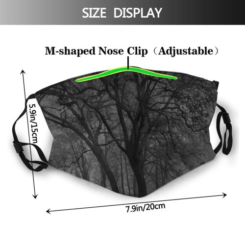 yanfind Winter Landscape Tree Branch Atmosphere Natural Atmospheric Dust Washable Reusable Filter and Reusable Mouth Warm Windproof Cotton Face