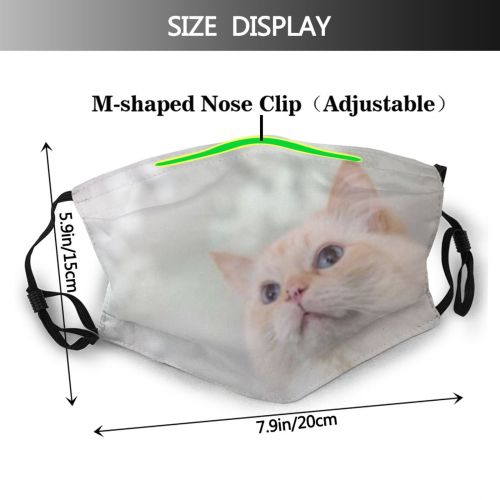 yanfind Fur Cat Kitty Cute Pedigree Sweet Pretty Pet Toy Eyes Fluffy Furry Dust Washable Reusable Filter and Reusable Mouth Warm Windproof Cotton Face