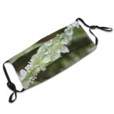 yanfind Dew Winter Macro Drop Leaf Dew Plant Blade Ice Frost Grass Moisture Dust Washable Reusable Filter and Reusable Mouth Warm Windproof Cotton Face