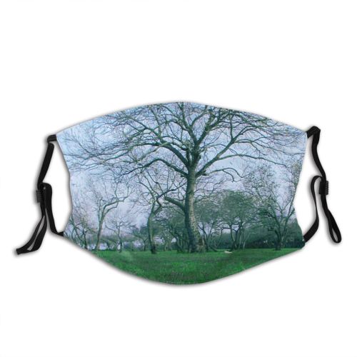 yanfind Dead Winter Lonely Scenery Sky Field Natural Woody Landscape Plant Meadow Pasture Dust Washable Reusable Filter and Reusable Mouth Warm Windproof Cotton Face
