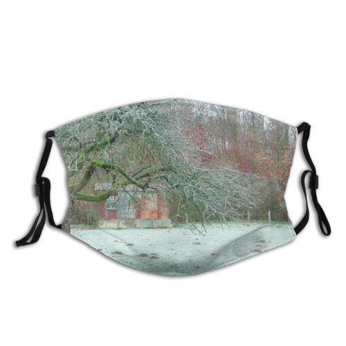 yanfind Frost Field Cant Winter Natural Atmospheric Woody Landscape Branch Snow Tree Tree Dust Washable Reusable Filter and Reusable Mouth Warm Windproof Cotton Face