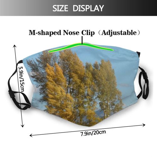 yanfind Natural Autumn Larch Woody Landscape Sky Plant Wood Leaf Forest Leaf Tree Dust Washable Reusable Filter and Reusable Mouth Warm Windproof Cotton Face