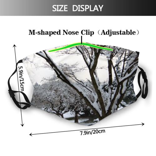 yanfind Winter Landscape Trees Plant Twig Tree Tree Branch Plant Frost Winter Natural Dust Washable Reusable Filter and Reusable Mouth Warm Windproof Cotton Face